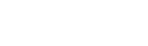 DMI logo