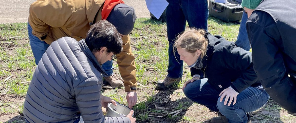 Researchers working in field