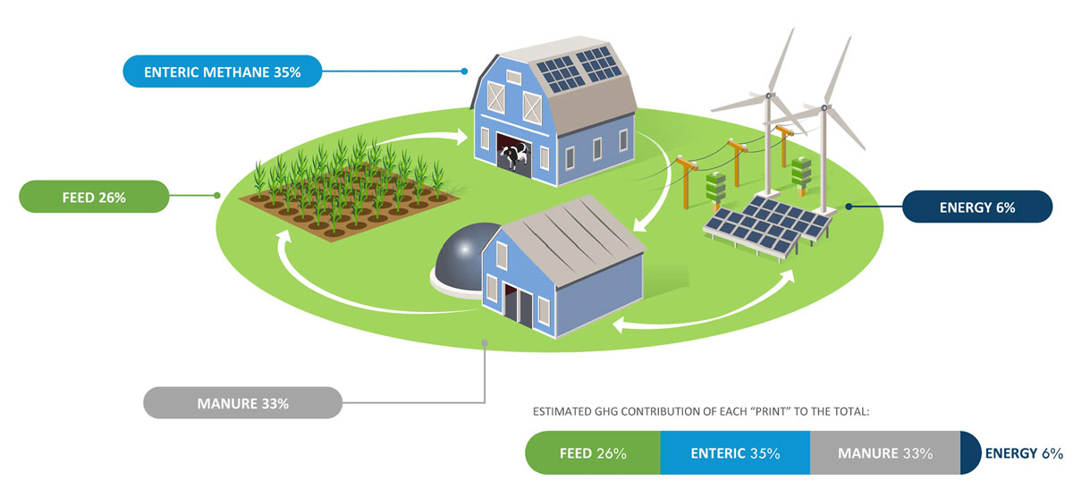 U.S. Dairy Sustainability graphic