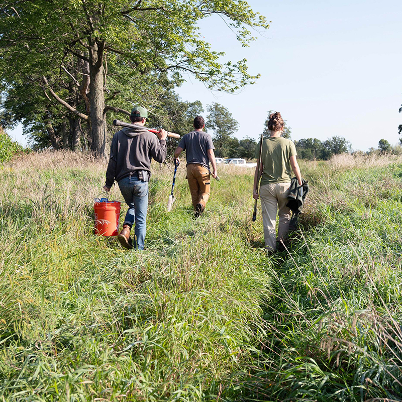 Researchers in the field