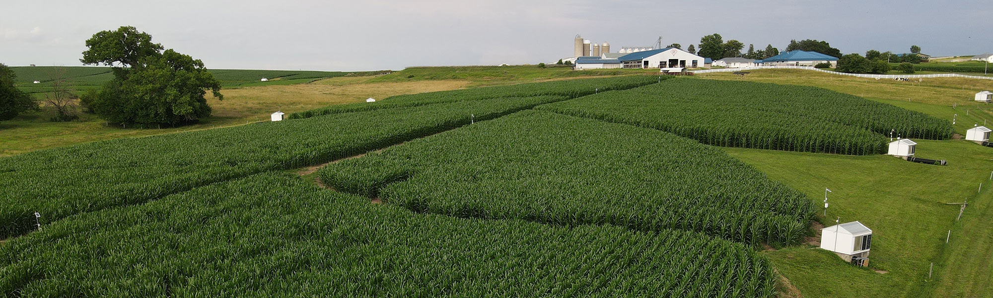 Platteville farm field